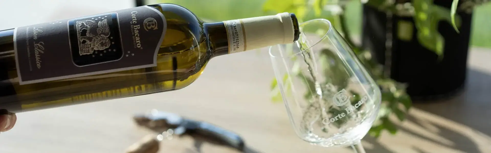Come si versa il vino nel calice o in un decanter: tutto quello che devi sapere!