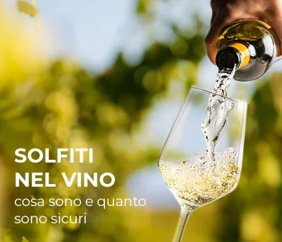 Solfiti nel Vino: Cosa Sono e Quanto Sono Sicuri