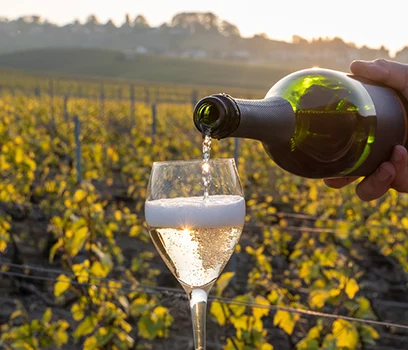 Sfida a colpi di bollicine: Prosecco vs Spumante e Franciacorta, chi vince?